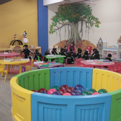 Waldorf and Montessori Lab2